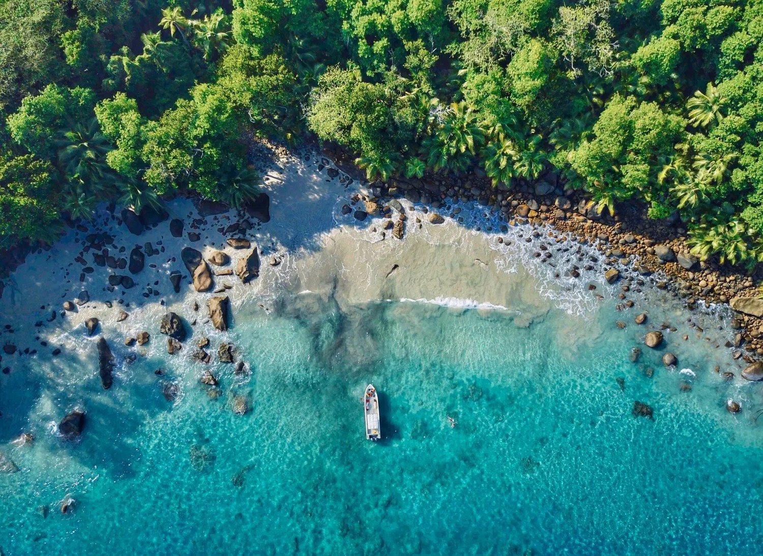 Aerial view of a tropical beach